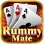 rummy partner